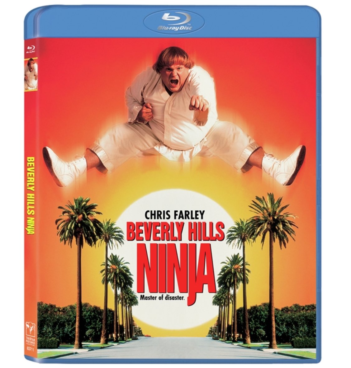 Coming  #Bluray via @SonyPicsHomeEnt on 6/18

Directed Dennis Dugan 

Starring #ChrisFarley and #ChrisRock 

Beverly Hills Ninja (1997)