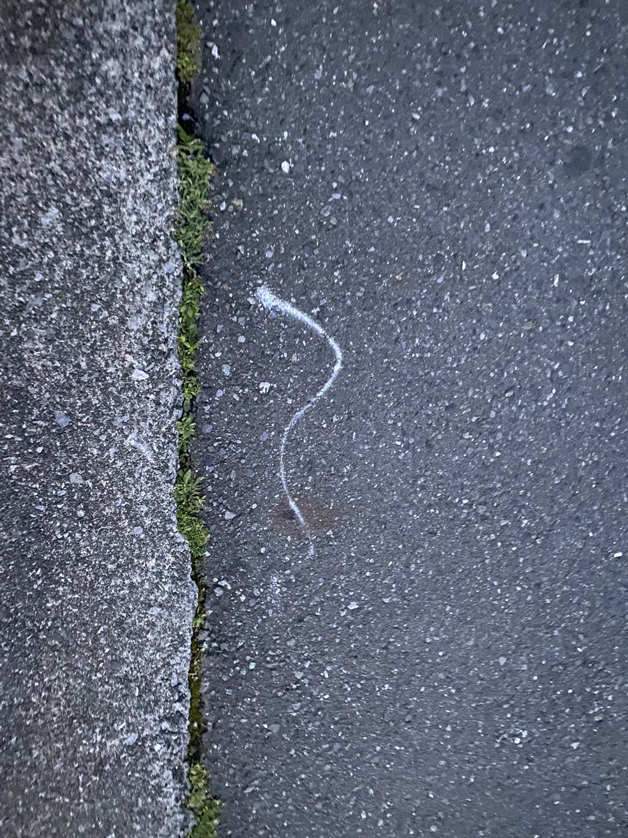 5/14 の地面 、さいたま市。#instadaily #streetphoto #ground #unintentionalart #路上観察 #地面 #床