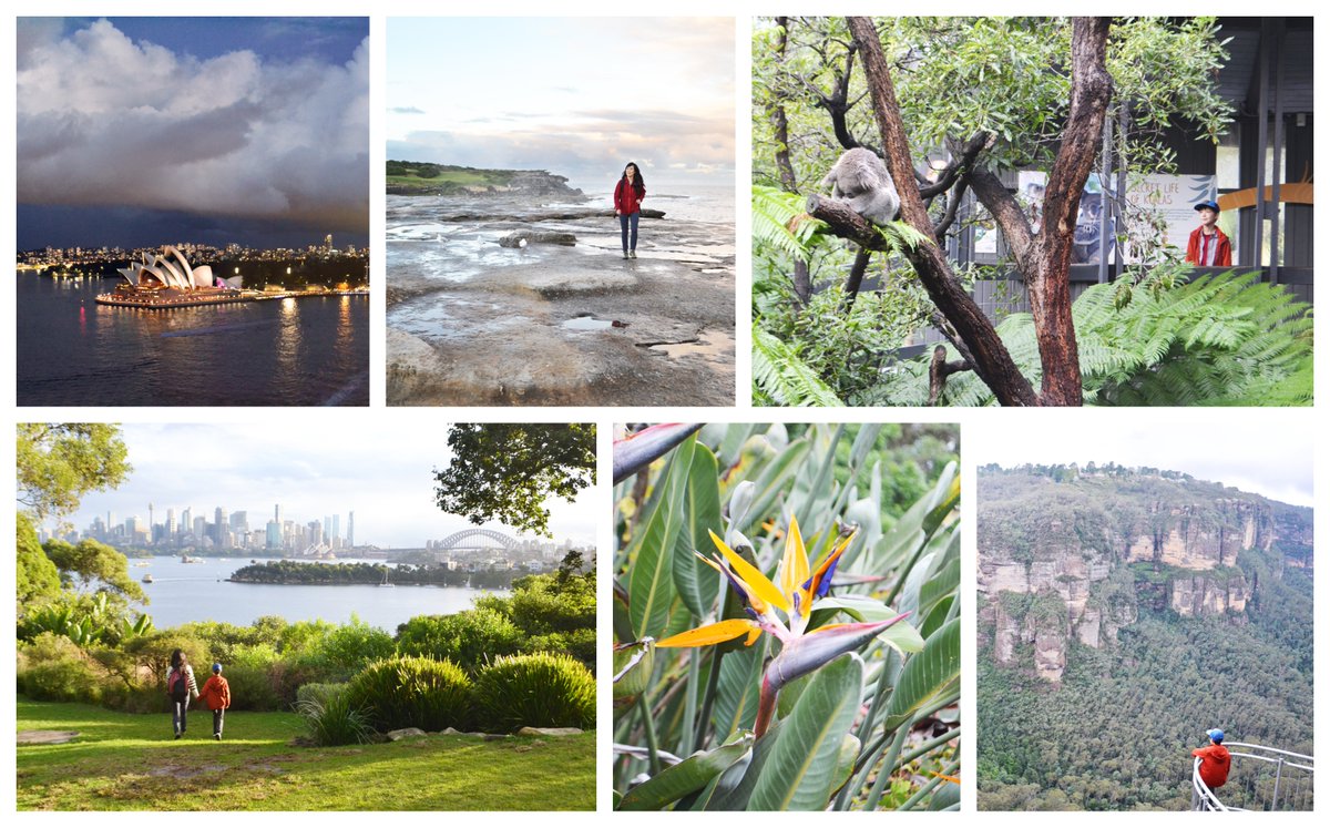 Work hard, play harder. Such a treat to connect with my #PANDATrial co investigators in @cityofsydney last week—and fit in some hikes and family time too. Excited to continue work to research + scale nature prescriptions across Australia. More here: powerlab.site/research/panda…