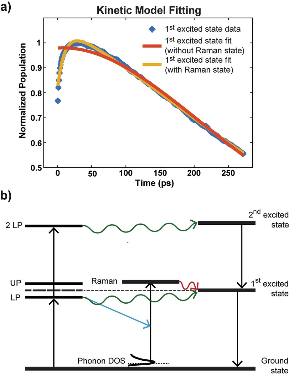 Nanophotonics_J's tweet image. From our latest issue:

The role of IR inactive mode in W(CO)6 polariton relaxation process

#polariton
#ultrafastdynamics

degruyter.com/document/doi/1…