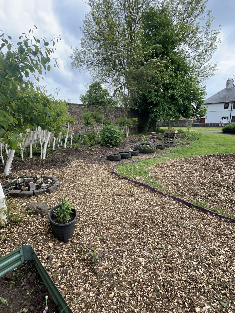 Play Alloa tweet media