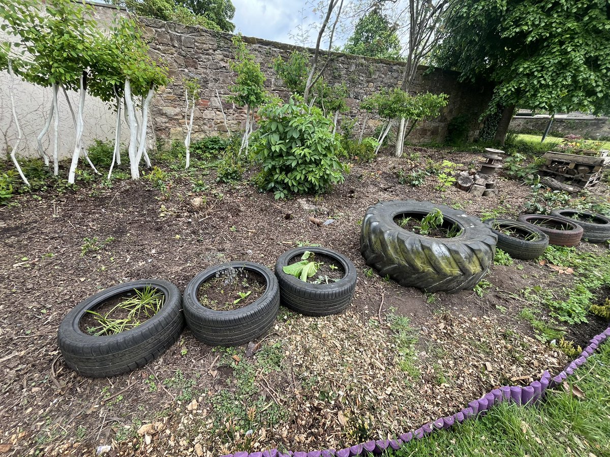 Play Alloa tweet media