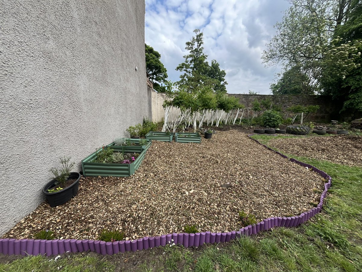 Play Alloa tweet media