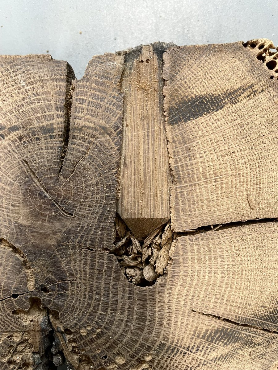 Belle surprise à #Puycelsi, où le propriétaire d’une maison en rénovation nous a offert des vieilles poutres dont il voulait se débarrasser. Un déchet pour certains, un trésor pour d’autres ! #Bosca <a href="/NicocoPoirier/">Nicolas Poirier</a> <a href="/Occitanie/">Région Occitanie</a> <a href="/umr5608_traces/">TRACES labo d'archéo SUSPENDU🦋</a> <a href="/GEODE8/">GEODE_Lab</a>