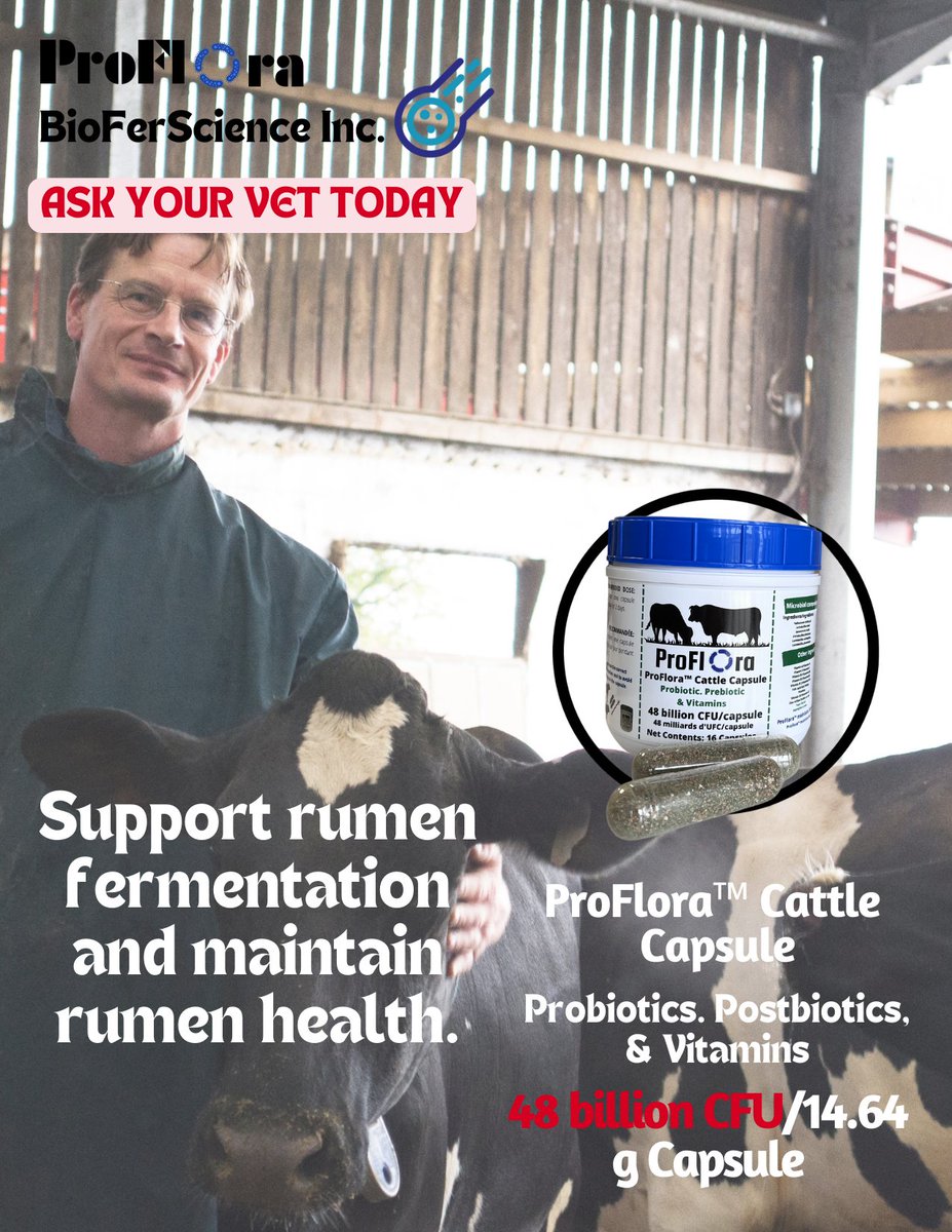 Support rumen fermentation and maintain rumen health with 48 Billion CFU PROFLORA MICROBIAL CULTURES!

ASK YOUR VET
OR
CONTACT US TODAY
Info@bioferscience.com
(519) 857-8053

#acidosis #ketosis #metabolicdiseases #cowhealth #ontariodairyproducers #canadiandairyproducers