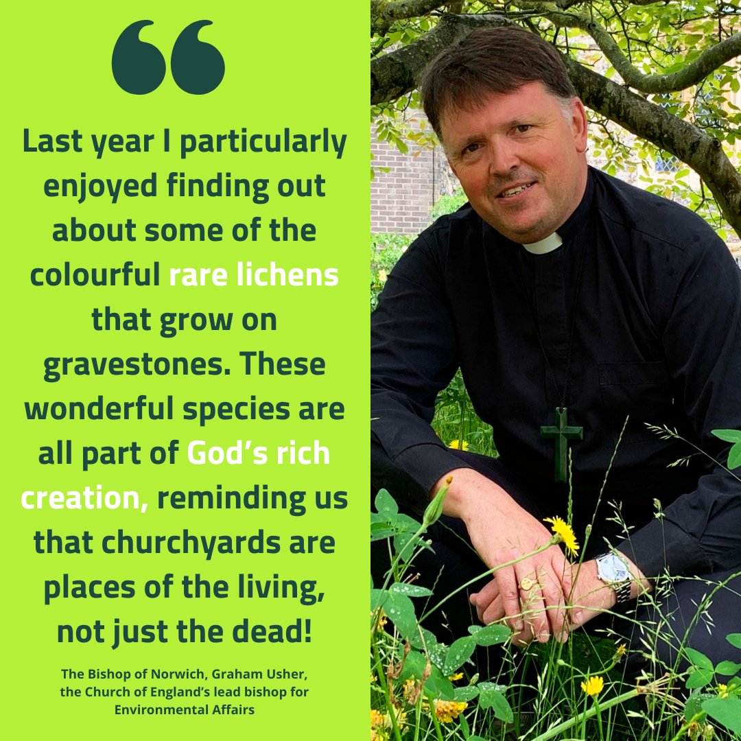 Register now for a week-long #ChurchesCountonNatureWeek in June to celebrate wildlife in churchyards and cemeteries. We're working with @godsacre @ARochaUK @ChurchinWales to promote the wonderful biodiversity of our churchyards! churchofengland.org/media/press-re…