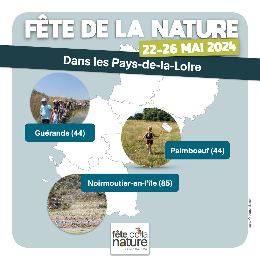 Entre océan, marais, prairies et le @pmaraispoitevin, il y a une grande diversité de richesses écologiques à observer. La Fête de la Nature est célébrée sur
126 lieux en#PaysdelaLoire
fetedelanature.com/selections-the…