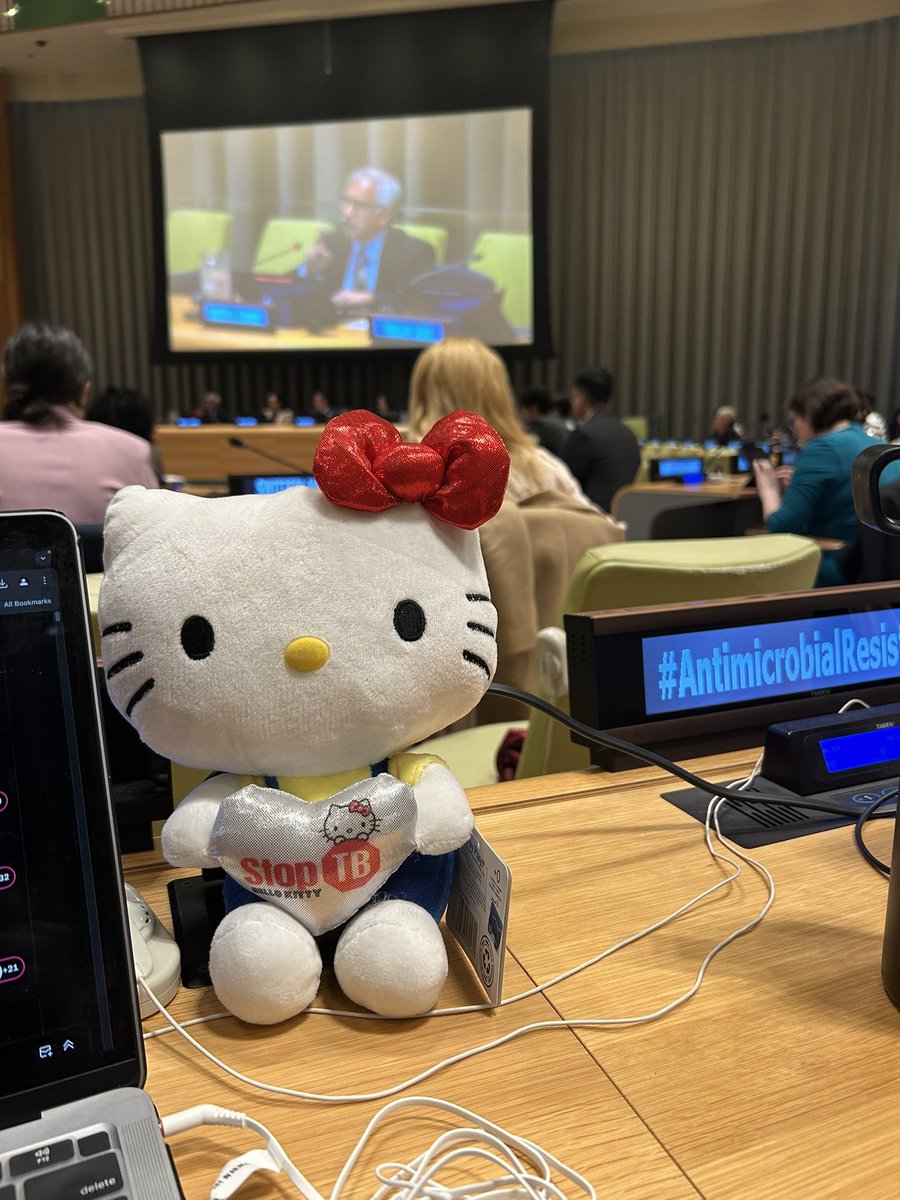 Even @WeRHelloKitty is us with at the @UN for the Multistakeholder Meeting on #AMR

#YesWeCanEndTB #AntimicrobialResistance