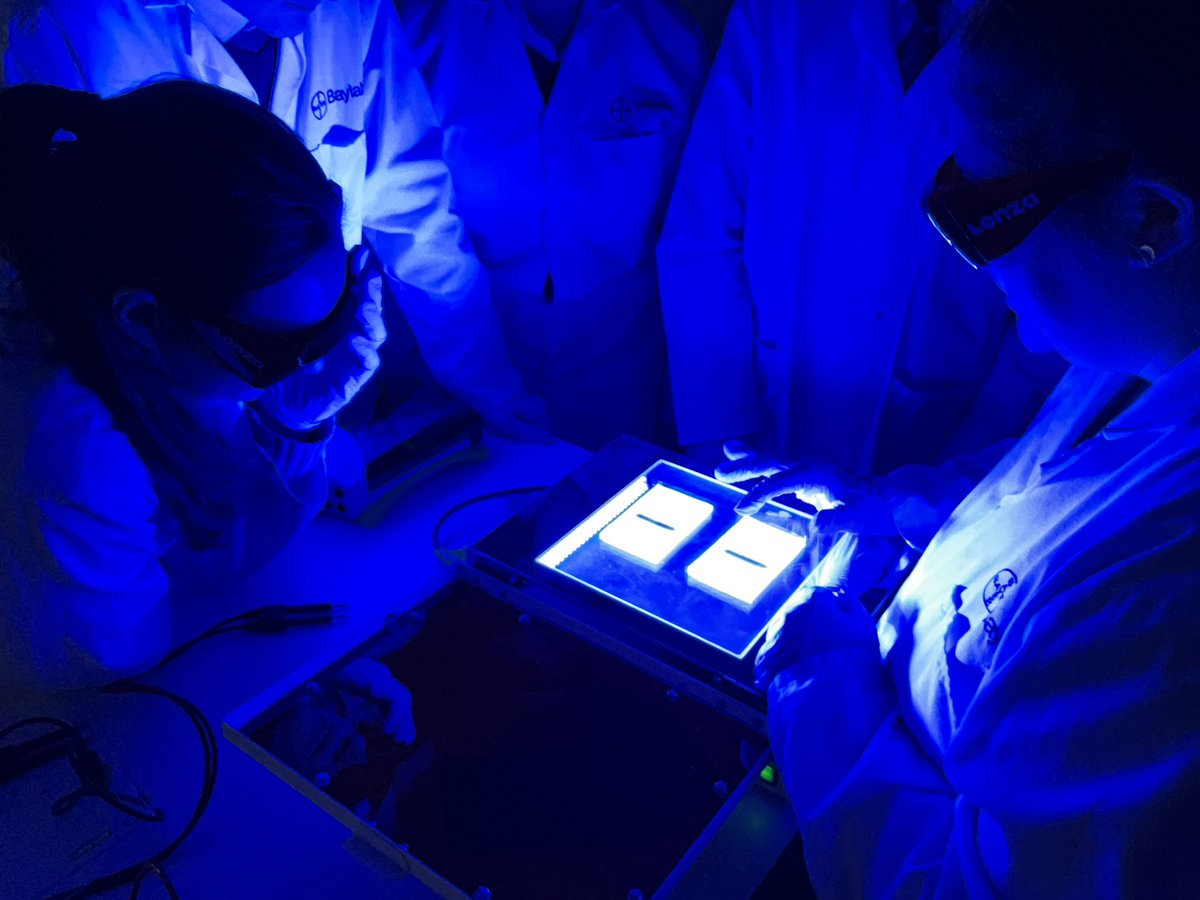 More pictures from a recent #PangCollSixth trip to Bayer Labs.  An enriching experience for all!  #PangCollScience