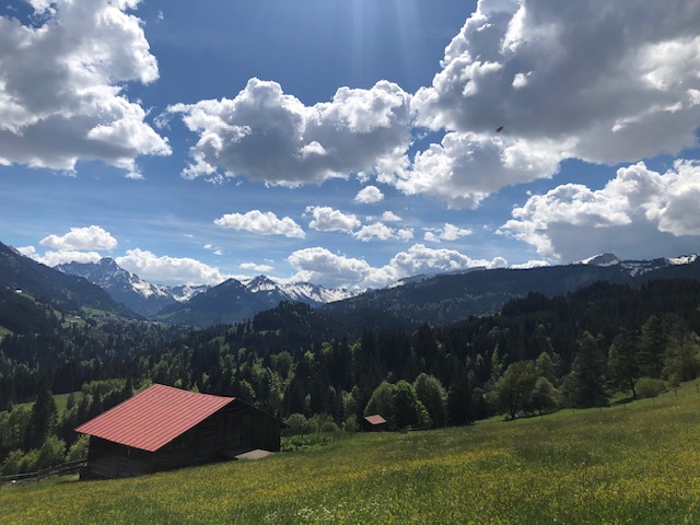 CeNS_LMU's tweet image. Fantastic science + beautiful scenery + great weather + wonderful people = CeNS Retreat 2024 in Kleinwalsertal! 😀⛰️☀️🔬🧑🔬