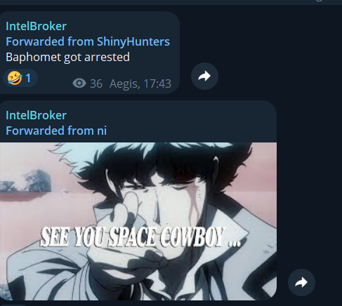 GNoSgKBWQAAuIZu