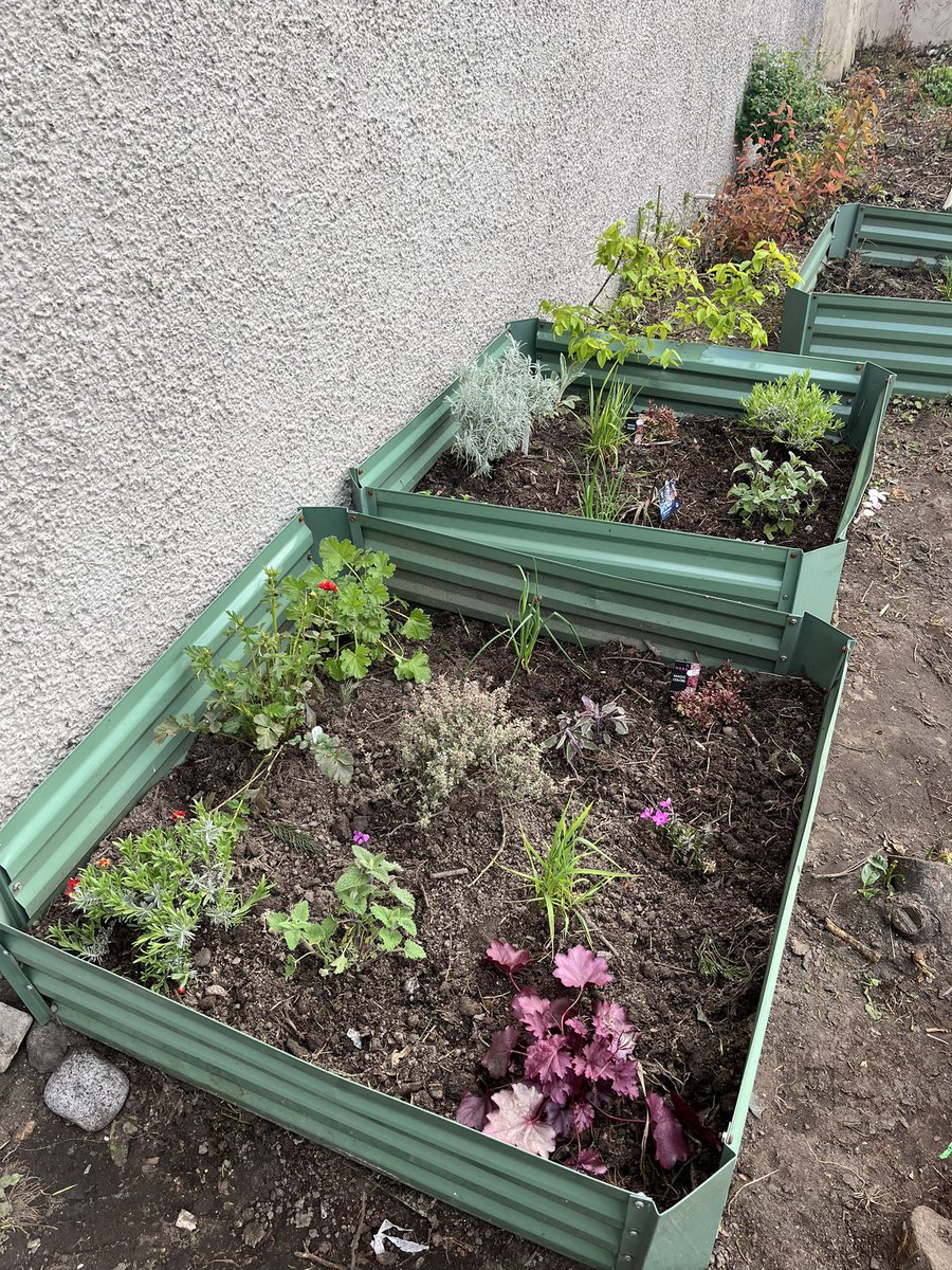 Play Alloa tweet media