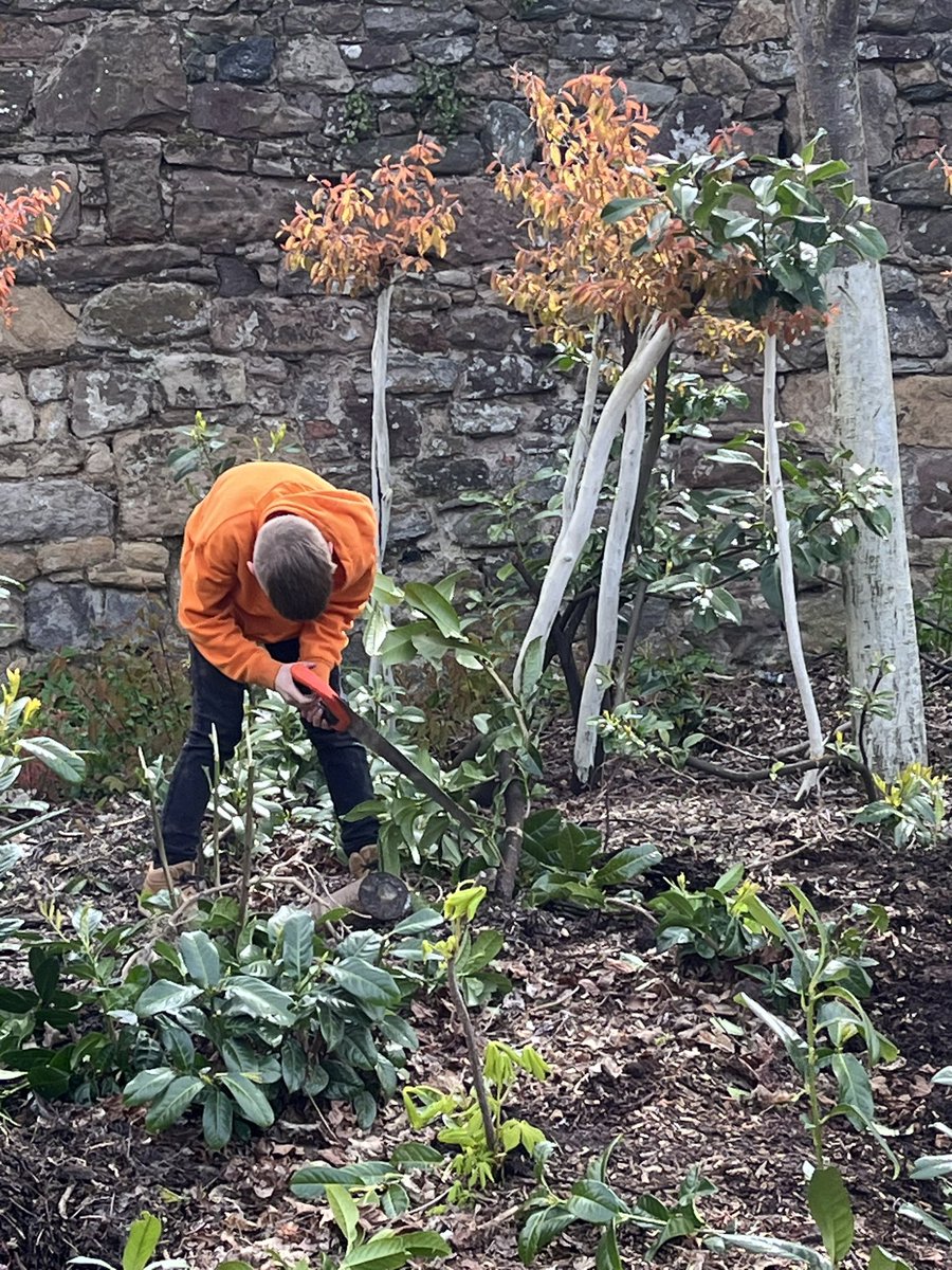 Play Alloa tweet media