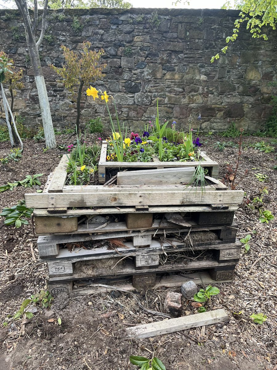 Play Alloa tweet media