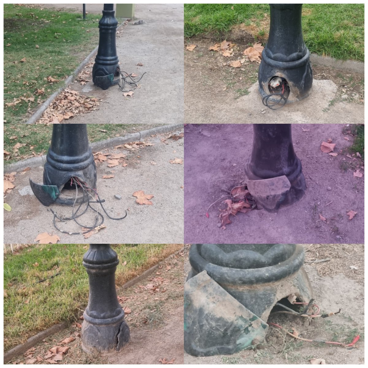 Miretapia's tweet photo. @IraciHassler Esto tambien es parte de su gestion... @IraciHassler en el Parque de los Reyes https://t.co/pgtxcoCNnG