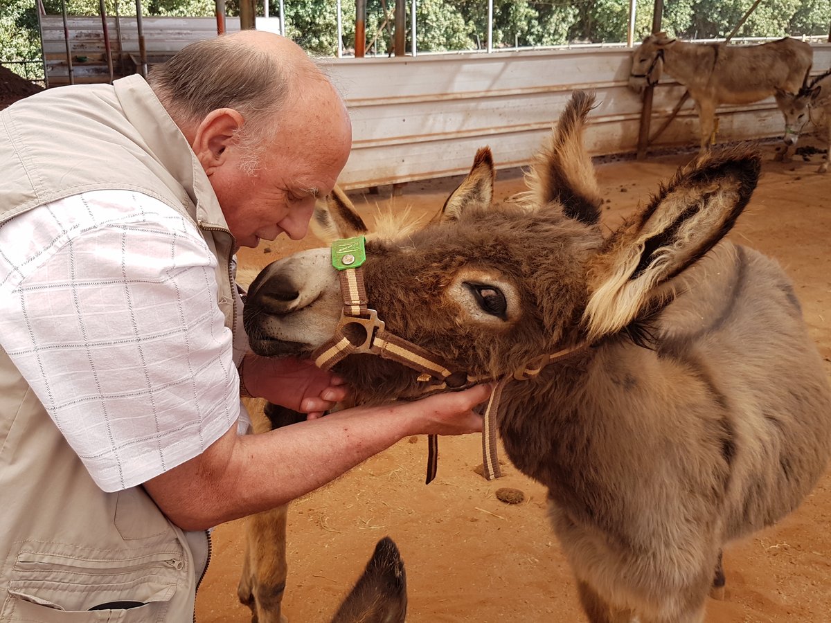🥰 A few more heart warming photos of animals being cared for by some of our charity's caring team 💛😘