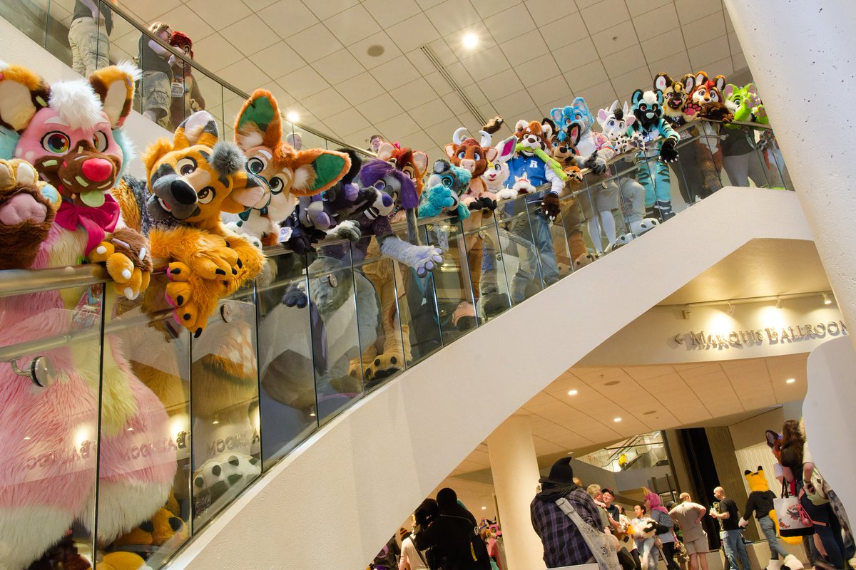 Whatcha doin down there? The party's up here! 

Check out all the amazing suits by the wonderful @WildDogWorks 💙