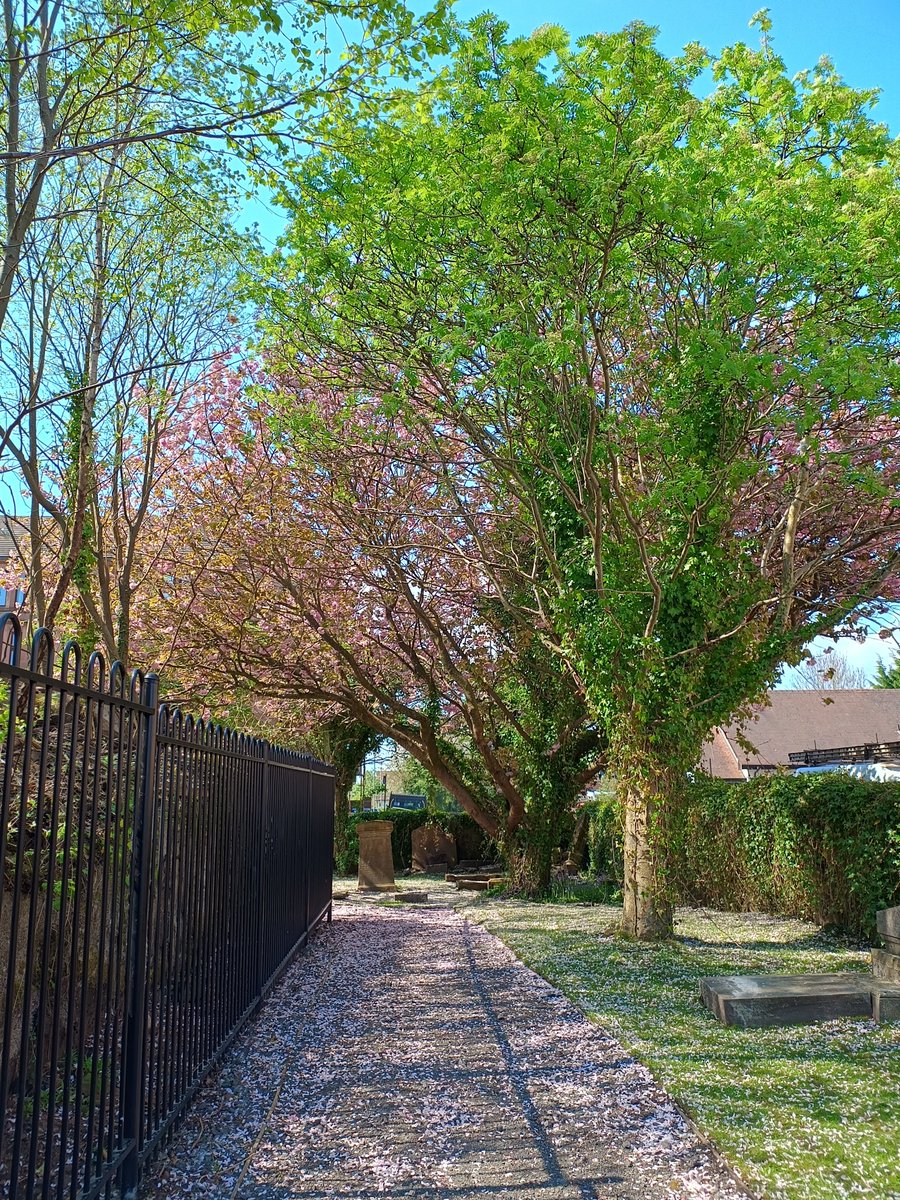 Have your heard of the Friends of Maryhill Road Graveyard?

Today we want to highlight the work of this volunteer-led local group who have been working with the council to tidy up the graveyard of the Old Maryhill Parish Church.