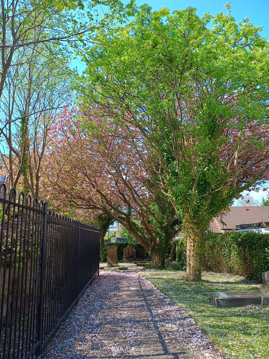 Have your heard of the Friends of Maryhill Road Graveyard? Today we want to highlight the work of this volunteer-led local group who have been working with the council to tidy up the graveyard of the Old Maryhill Parish Church.