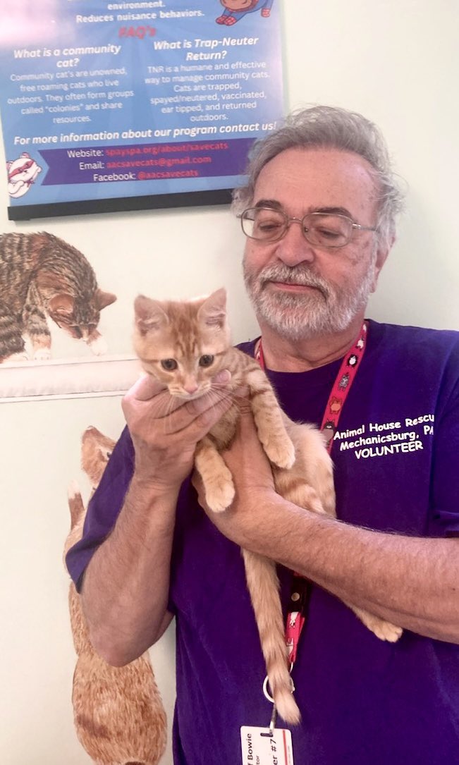 SpaySpa's tweet photo. Hey, @JortsTheCat! Check out cool junior jorts merch Leo from our great rescue partner Bowie CLAW! Today we’re trying to raise $500 in just 24 hours to help more pets like him at our low-cost vet clinic for #DoMore24 with @UWNCA. (https://t.co/JJwfsoWZJ6). Please spread the word? https://t.co/D4rJ9vn15s