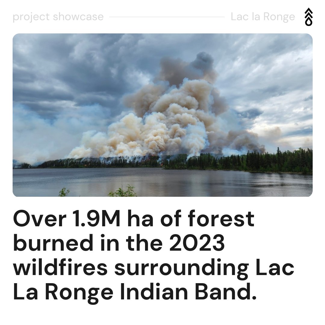 Flash Forest tweet media