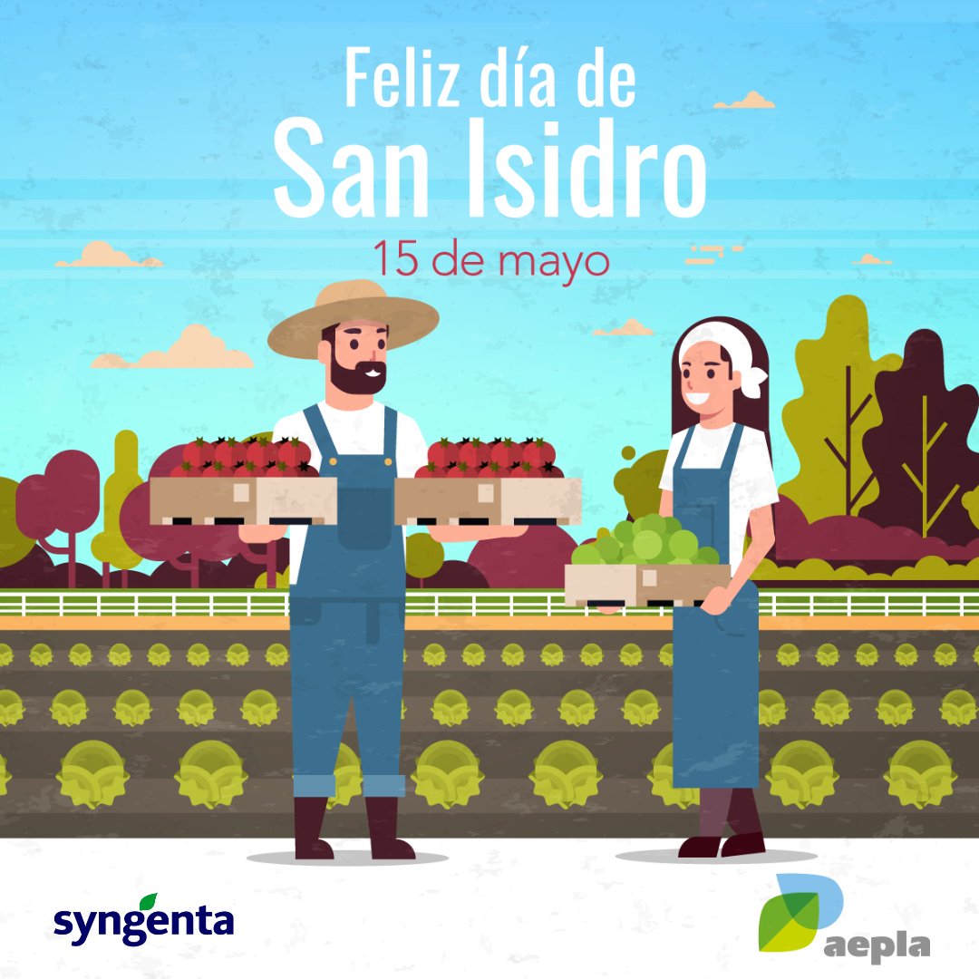 SyngentaES's tweet photo. Hoy es el día del Patrón 🗓️😇 de todos los que nos dedicamos a la agricultura 🌱👨‍🌾

¡Feliz día de San Isidro Labrador!

#sanisidro #sanisidrolabrador #agricultura #cosecha #agricultores #sectoragricola #cultivos #15demayo #orgullososdenuestraagricultura #aepla https://t.co/s43t8j58wg