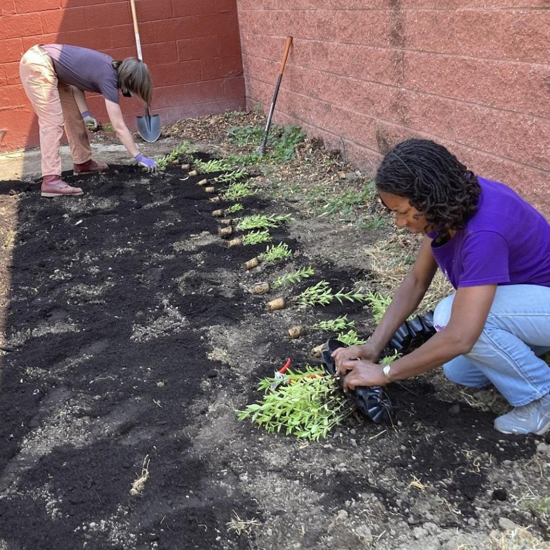 Celebrating a win for native plant gardens in Philly! 🌿🏆 Our Master Watershed Stewards, in collaboration with Friends of Wharton Square, has been honored with the Governor’s Award for Environmental Excellence. ow.ly/mPW050Rzv2b