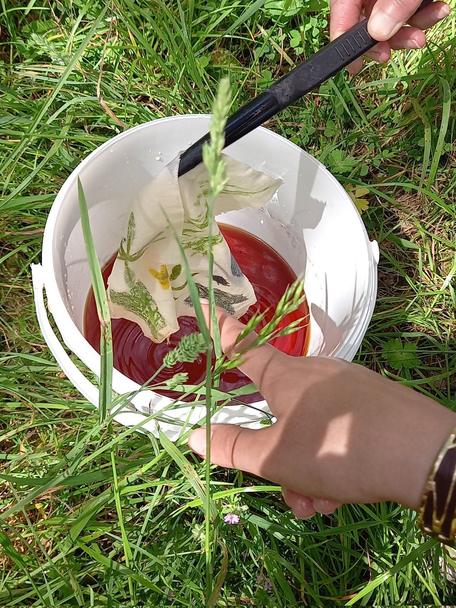 75Ageem's tweet photo. L'AGEEM 75, 94 et 93, animait un atelier de pratique artistique en classe dehors ce mercredi dans le bois de Vincennes 😊🍀🌿☘️Le "Tataki Zomé", une technique d'art textile originaire du Japon 🎏
De très beaux résultats et des adhérents prêts à l'expérimenter avec leurs élèves ! https://t.co/LwF6Qp4GHf