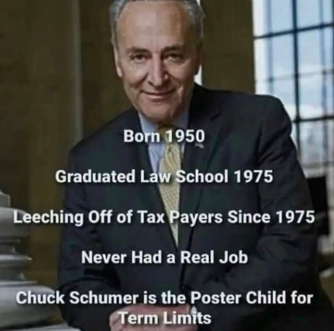 Chuck Schumer has NEVER held a job in the private sector, and his net worth is $81 MILLION. 
He is just one example of why we need term limits.