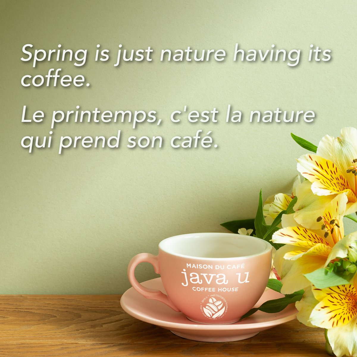 #javau #fairtradeorganic #montreal #coffee #cafe #mtlcafe #fresh #coffeelovers #coffeeshop #spring #springvibes #springisintheair