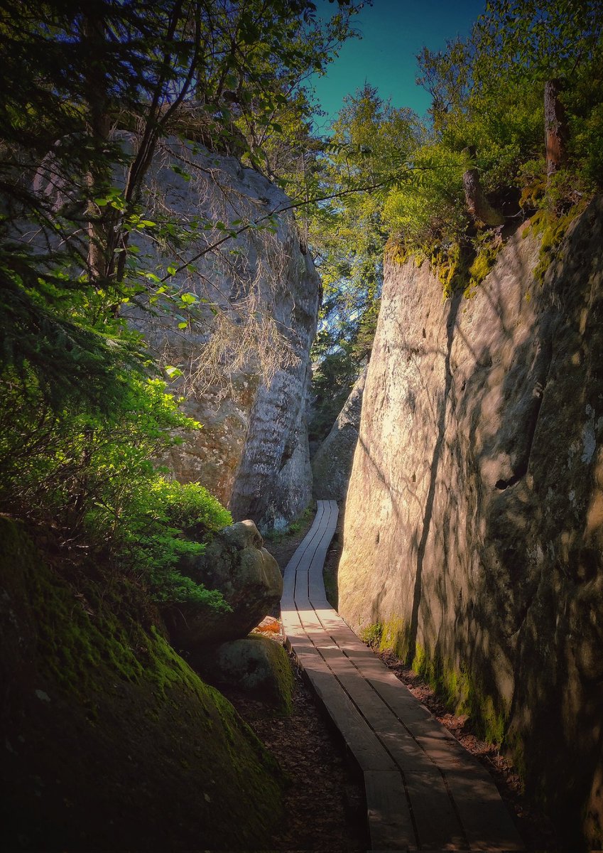 Sunday trip to a magical place (3) Szczeliniec Wielki in the Table Mountains 

Mountains, rocks, caves, trees, footbridges and secret passages and beautiful landscapes

#photodiary #traveldiary #mountainphotography #outdoorphotography #landscapephotography #naturephotography