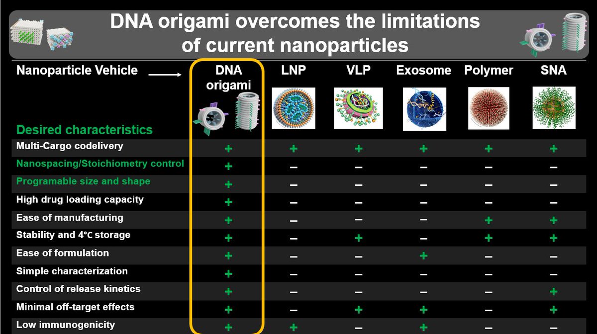 Dr. Yang (Claire) Zeng from @wyssinstitute introduces their work on DNA origami nanoparticles as potentially better delivery vehicles for therapeutic cargos. #immunoengineering #IOTNCapstoneMeeting