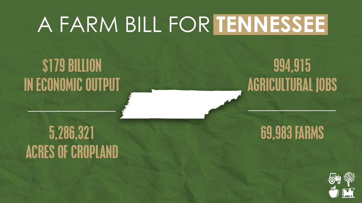Volunteer State farmers rely on the #FarmBill to support Tennessee's cotton and soybean industries, protect farmlands, and invest in rural broadband expansion.