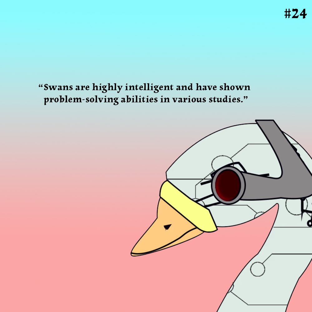 MekaSwans's tweet photo. GM ! Flock, it’s time to spread our wings and grow the flock, just like todays #SwanFact we have a little tool and with the help of Prof. Kalito 🧑🏿🔬 we will build a device to do just that, 🧠🦢. Stay tuned. 👀
Let’s Flockin Grow ‼️ https://t.co/AWMS9YLCbu