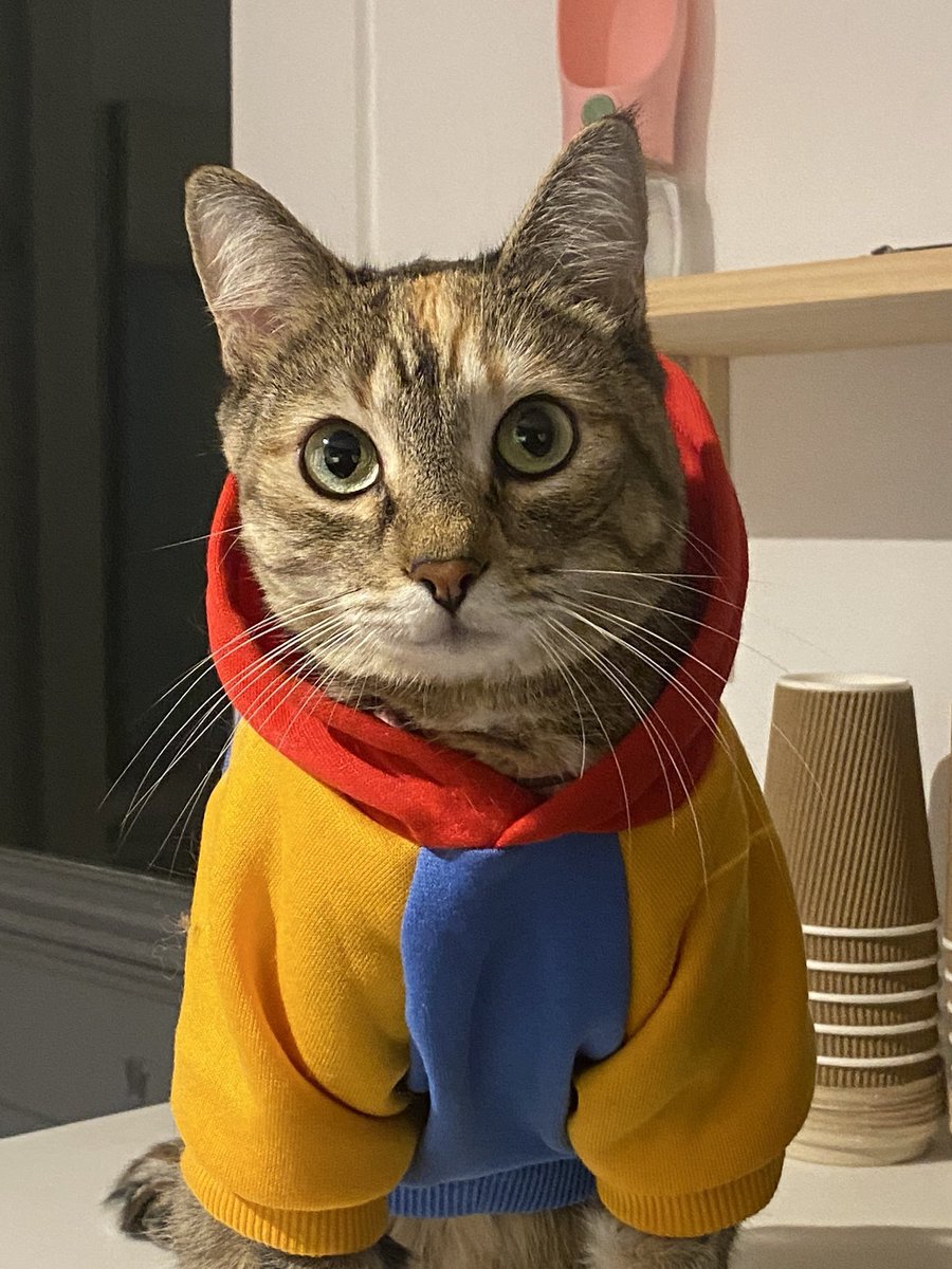 ♥️Ashlyn tweet media