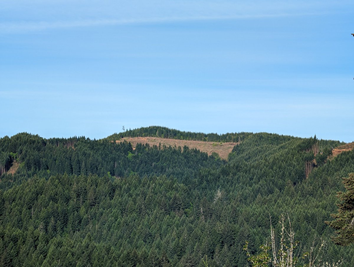 OregonSwineherd's tweet image. Farmers, ranchers and homesteaders are known for waking up early to get their work done. But loggers take it to the next level. These guys are consistently firing up their equipment between 3:30 and 4:00 a.m. 

Respect #TimberUnity