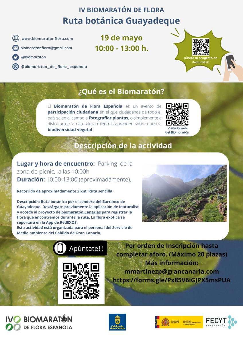Tres actividades hay previstas en Canarias con motivo del @biomaraton (entre mañana jueves y el domingo). Las plantas invasoras localizadas durante ellas se registrarán en la app de RedEXOS. Con @IPNA_CSIC, @GranCanaria_M_A y la #ACBC