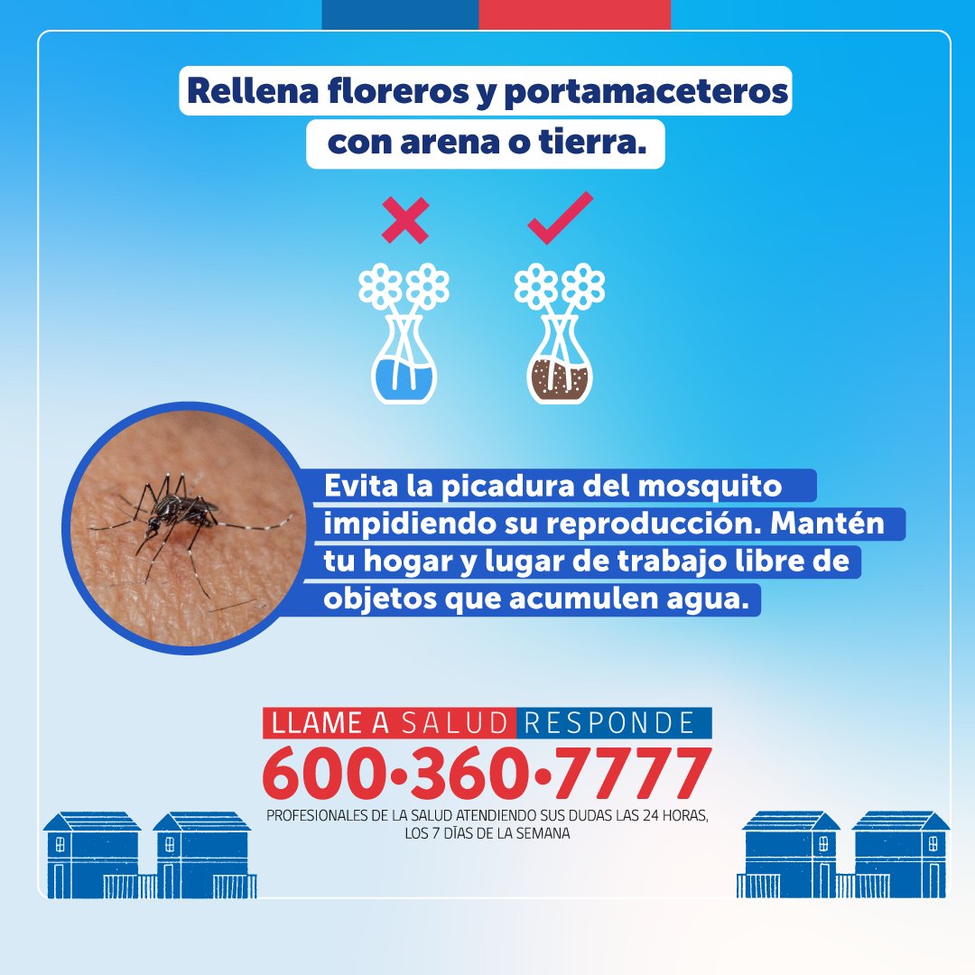 📌 ¿Conoces las principales medidas de prevención para #Dengue, #Zika, #Chikungunya y #FiebreAmarilla? Una de ellas es el control de los zancudos responsables de transmitir la enfermedad 🦟😷
 Más info en el siguiente enlace👇🔗 instagram.com/p/C6_peeUrA3o/…