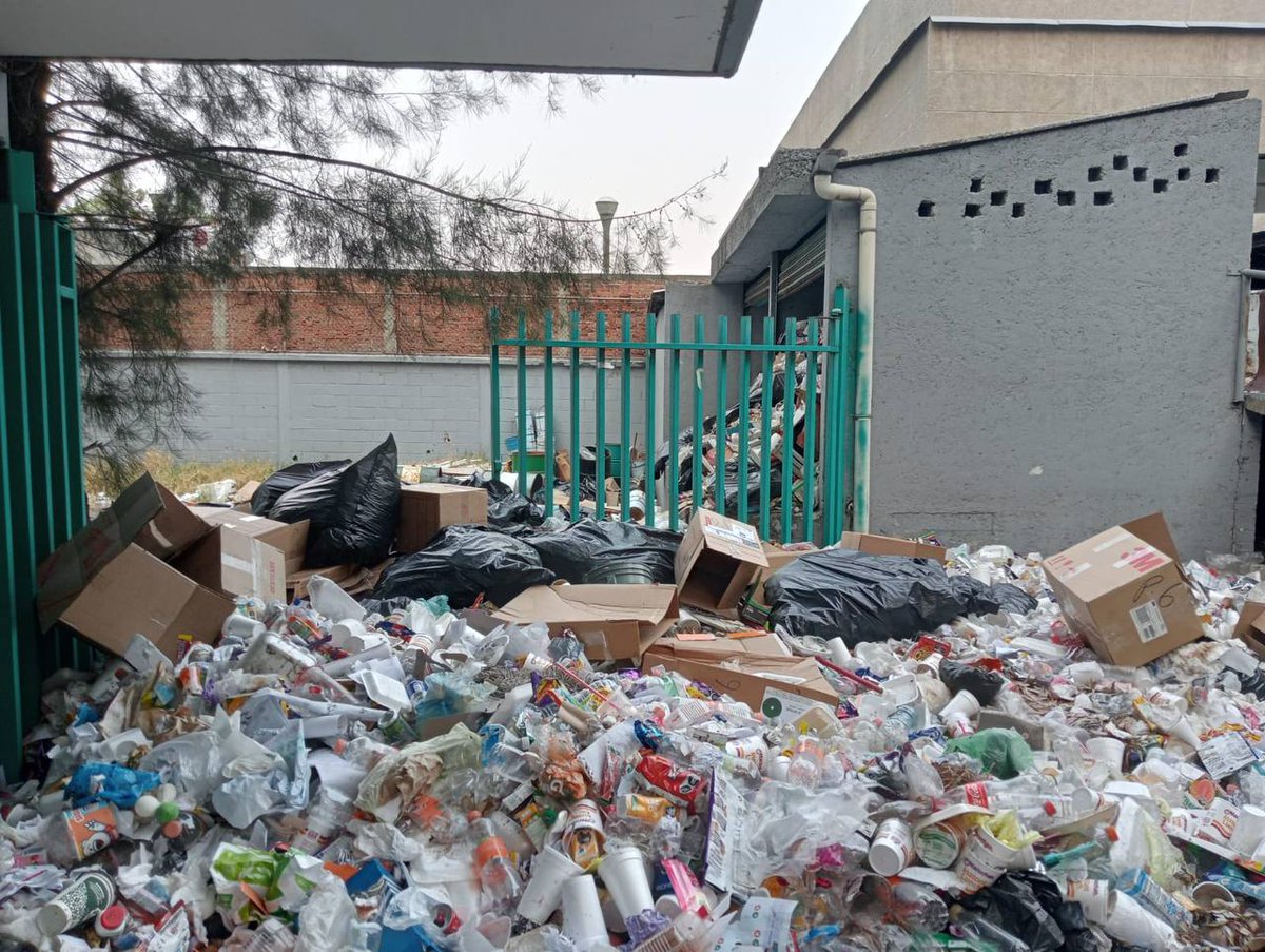 KarenQuirogaAn's tweet photo. #KarenInforma
Es lamentable el estado en el que se encuentra el plantel del Colegio de Bachilleres no. 6 Vicente Guerrero. Por más de 20 días el servicio de recolección de basura no ha pasado a realizar su labor, lo cual ha ocasionado que se vuelva un potencial foco de infección para todo el personal que trabaja al interior y sobre todo para el alumnado. La @Alc_Iztapalapa ha hecho caso omiso de las continuas solicitudes de apoyo ante este tema. No es posible que el gobierno de Morena abandone de esta forma las instituciones educativas y a la juventud.

#MorenaNoSabeGobernar #YaSeVan