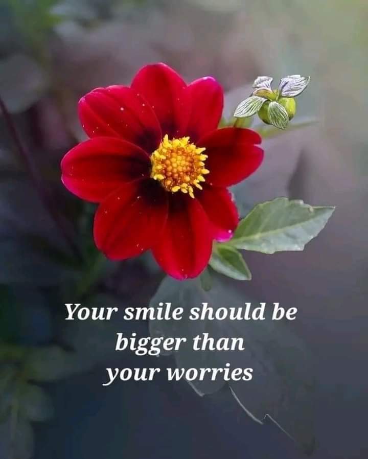 BehrozRao's tweet photo. Smiles are the universal language of kindness. Let's spread joy today and light up the world, one smile at a time. 😊✨ https://t.co/qSy3Nvcg0k