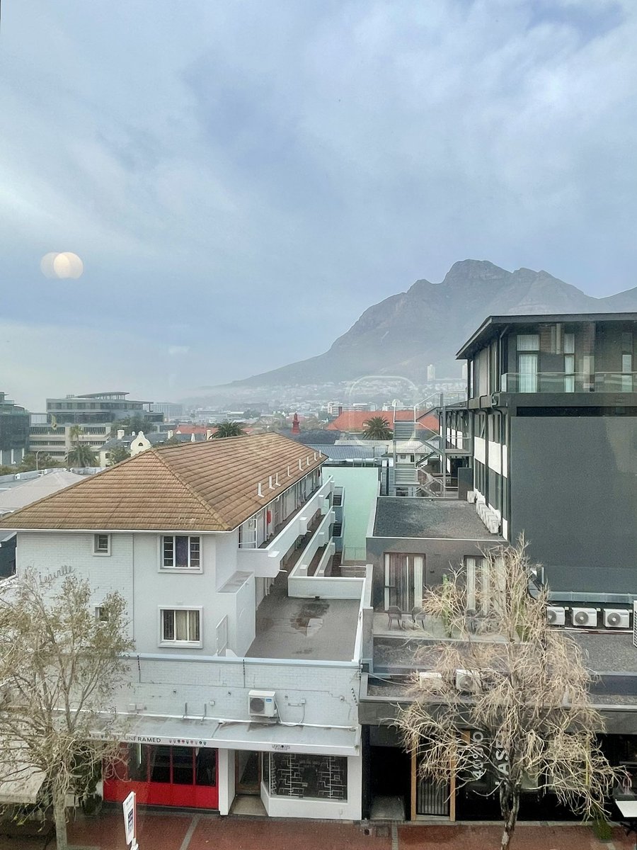 Selene Brophy tweet media