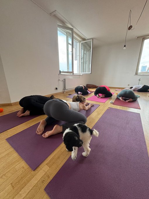 Puppy yoga 🥺 https://t.co/g3ak3EGx5N