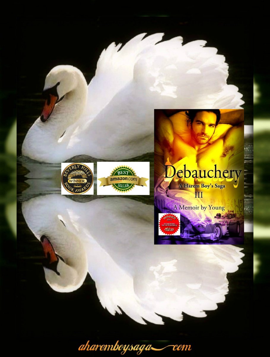 Gracefulness is defined as the outward expression of the soul's inward harmony. DEBAUCHERY getBook.at/DEBAUCHERY is the 3rd book to a sensually captivating memoir about a young man coming of age in a secret society & a male harem. #AuthorUproar #BookBoost