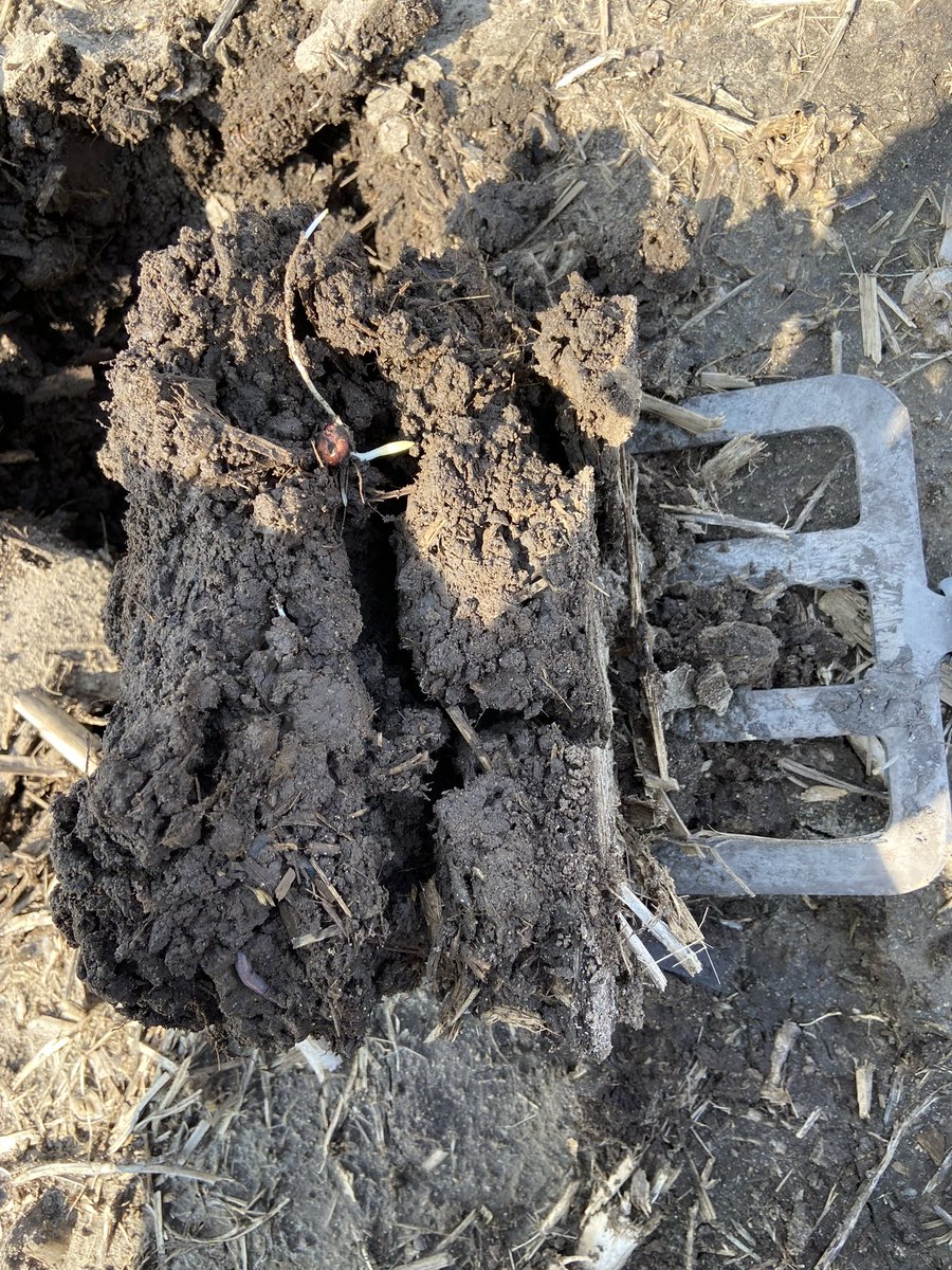 “Tractors tractors everywhere, mud it in cause we don't care"

-Probably Dr. Suess if he lived in lowa.

All reality, I get weather constraints but please still spend time evaluating cultivator &amp; planter pass

Seeing lots of furrows that are closed on top &amp; slotted underneath.