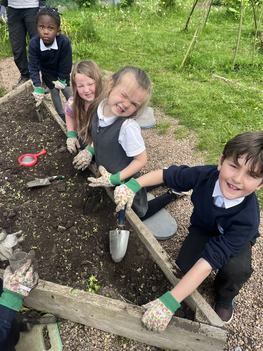 P1atCanalView's tweet photo. Lots of fun at our school farm this afternoon. We dug for insects and watered the plants. Ask us all about it! 🐞 🐛 🪱 🌱 🪴 🌳 @farm_leader @CanalViewPSEdin #OnlyAtCanalView https://t.co/XlOCmz5OIZ