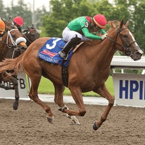 T'CHALLA has been confirmed to run in a Novice Stakes at Newmarket (Rowley Mile course) on Friday over the mile. The Kingman colt out of Ebony Flyer is drawn in pole position and has Kevin Stott in the saddle for Andrew Balding. He finished a smart second on debut in late April.