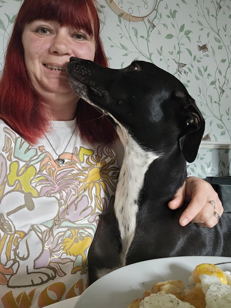 If I give mum a big kiss we might get some Coop 😋😋🤣🤣💙🐾🐕 #whippet #lurcher #dogsarefamily