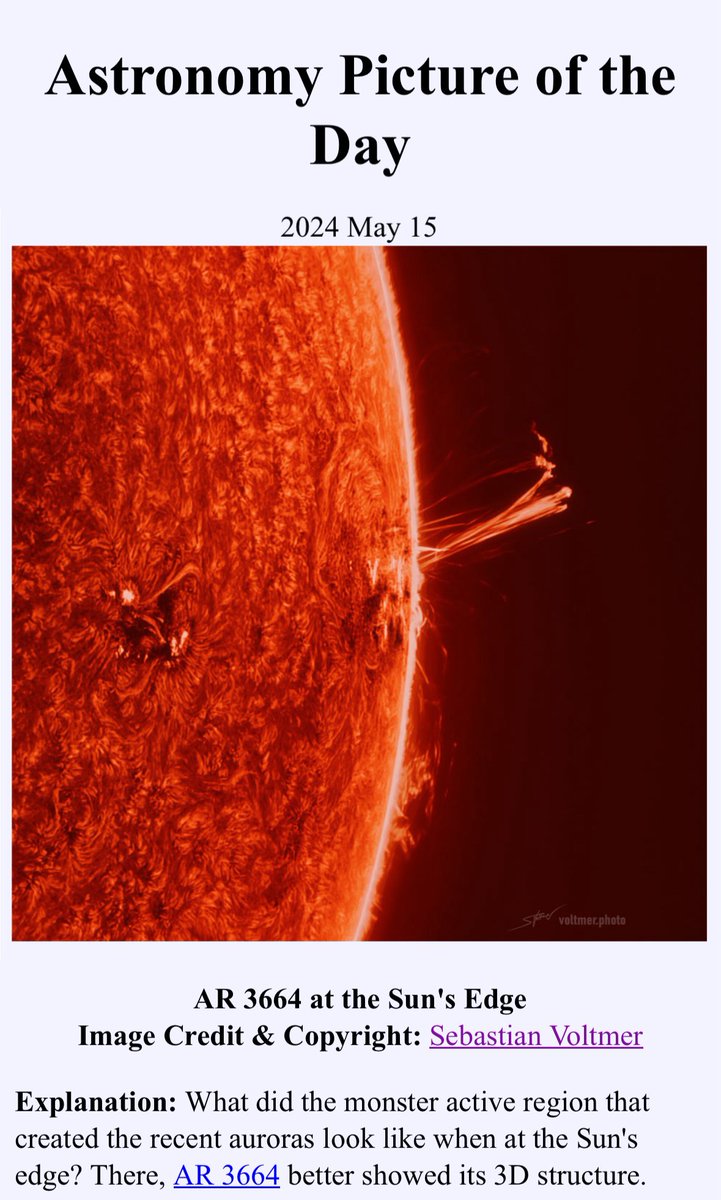 My today's APOD (Astronomy Picture of the Day). What did the monster active region that created the recent auroras look like when at the Sun’s edge? There, AR 3664 better showed its 3D structure. Pictured, a large multi-pronged solar prominence was captured extending from chaotic
