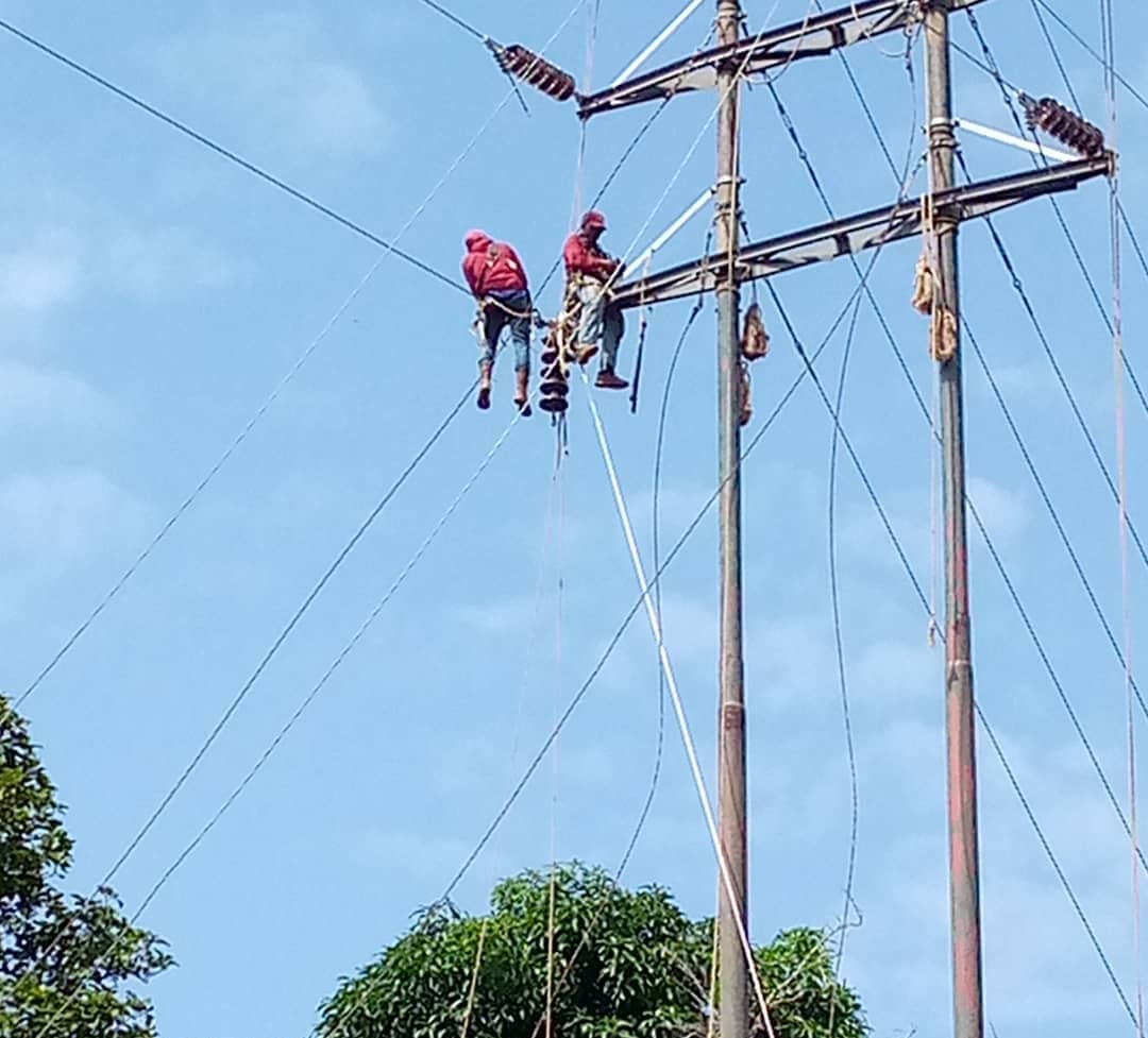 ⚡ 𝕃𝕒 𝔾𝕦𝕒𝕚𝕣𝕒 Fuerza trabajadora de #Corpoelec realizó maniobras correctivas, para mejorar la estabilidad del Sistema Eléctrico Nacional en la Línea Arrecifes-Guaira 69 kV con labores de instalación de conductores en los apoyos de transmisión y sustitución de herrajes