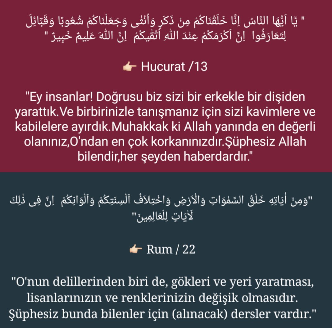 #CeznaZimaneKurdiPîrozBe 'Göklerin ve yerin yaratılması, DİLLER 'rinizin ve RENKLER 'inizin farklı olması da, O'nun varlığının DELİLLERİNDEN'dir. Şüphesiz bunda, BİLENLER (düşünenler) için elbette İBRETLER vardır.' #RumSuresi22